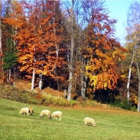 Beskydok *